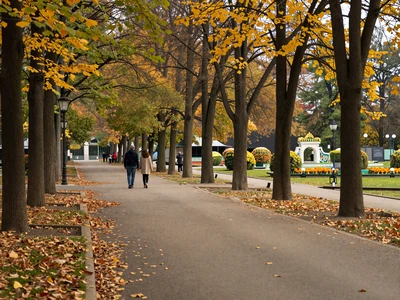 Tivoli Park in Ljubljana in autumn with golden trees, ideal outdoor date location for Slovenian women dating